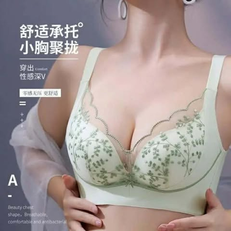 Premium quality Bra